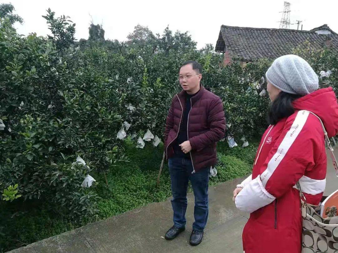 柑桔种植技术视频_视频种植柑桔技术要点_继续播放柑橘的种植方法