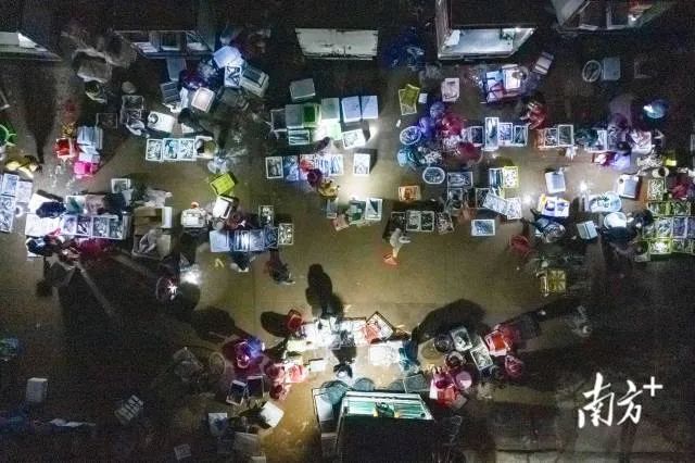 养殖海蜇需要什么技术_海蜇养殖技术常见问题_海蜇苗暂养技术养殖