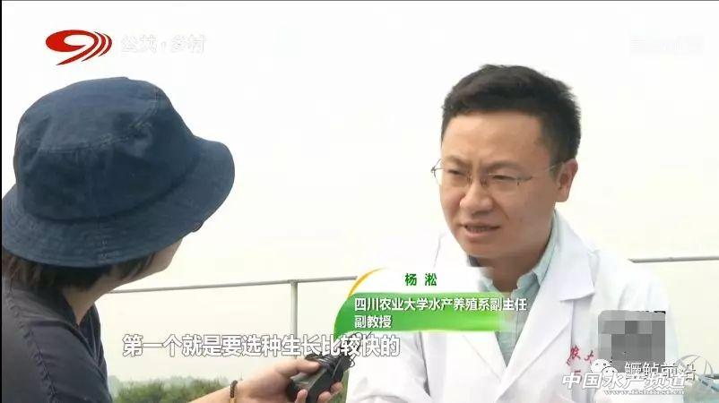 养殖技术视频_养殖视频教程_视频养殖技术有哪些