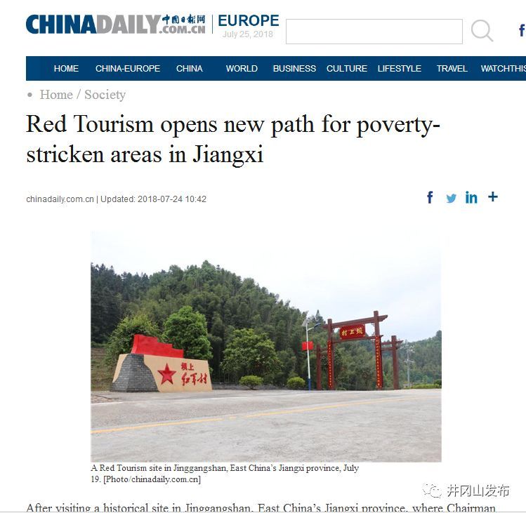 广东种植的蔬菜_广东特产蔬菜种植致富经_广东种植什么致富