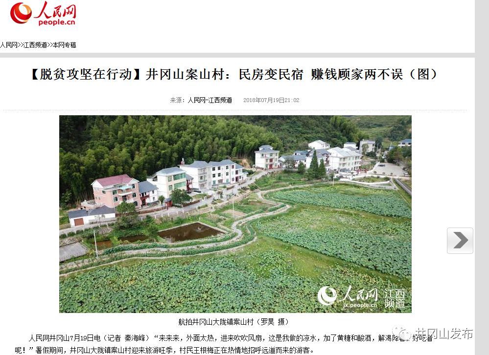 广东种植什么致富_广东种植的蔬菜_广东特产蔬菜种植致富经