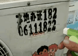 河南种丝瓜的人后来怎么样了_种植丝瓜致富_河南致富经种丝瓜