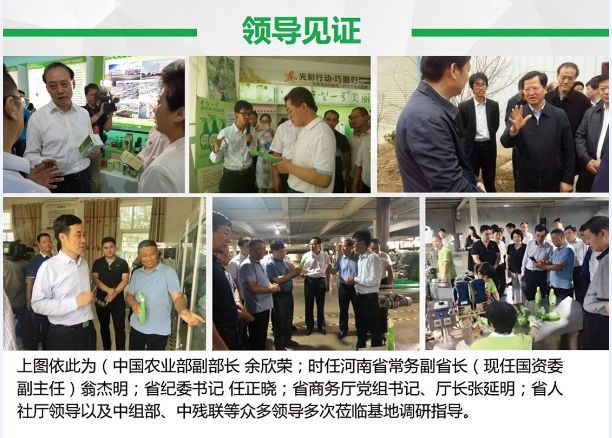种植丝瓜致富_河南种丝瓜的人后来怎么样了_河南致富经种丝瓜