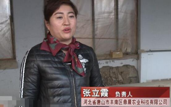 致富养殖业_肉类养殖致富项目_致富养殖好项目