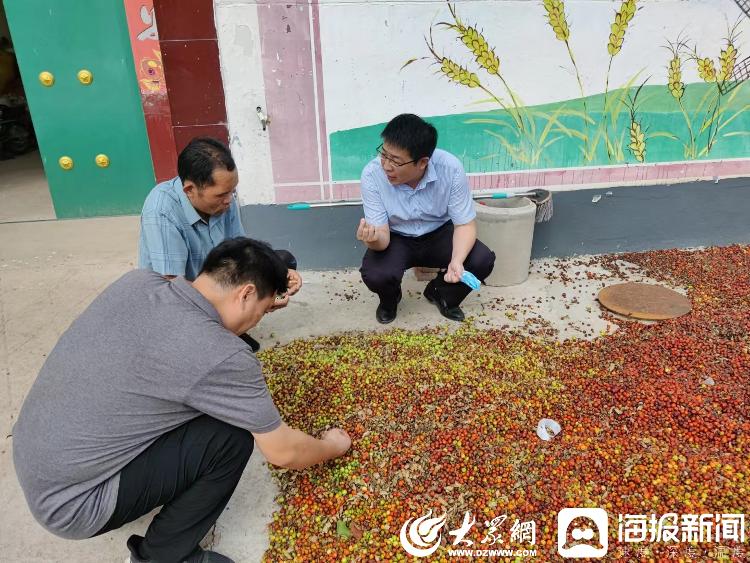 创业致富种植蔬菜_致富蔬菜种植创业项目简介_种植蔬菜创业渠道
