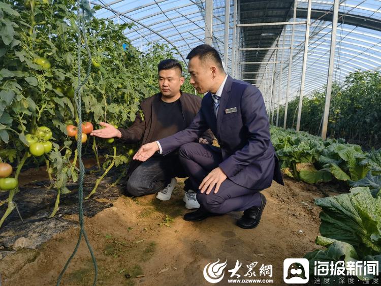 致富蔬菜种植创业项目简介_创业致富种植蔬菜_种植蔬菜创业渠道