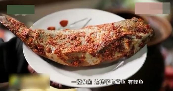 广东特产蔬菜种植致富经_广东种植的蔬菜_广东种植什么致富