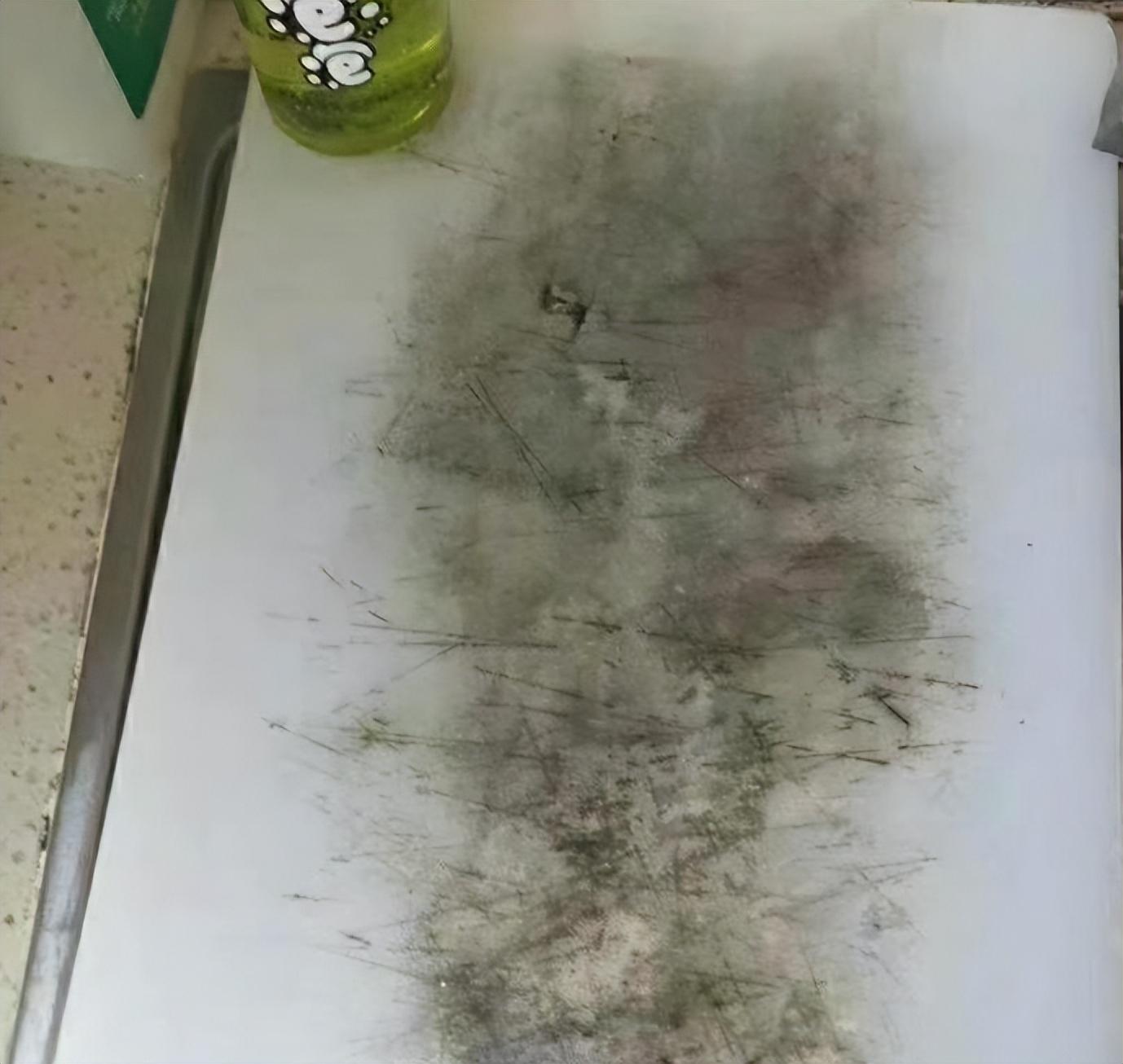 致富种植什么比较赚大钱_种植致富业_种植啥树致富