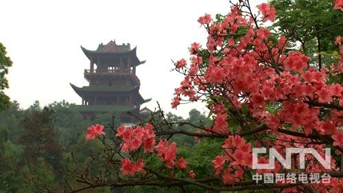 致富经的水果传奇人物_致富经水果大王_致富经水果