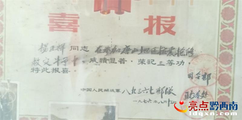 香菜种植年赚百万_种植香菜致富_致富香菜种植方法
