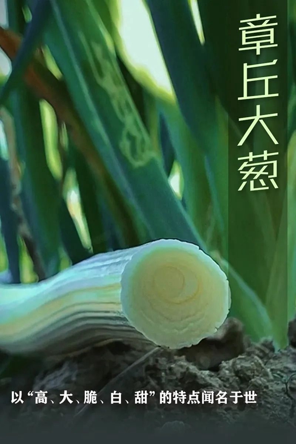 致富经崔大雁_郑州锅炉厂崔红旗_致富经崔红旗