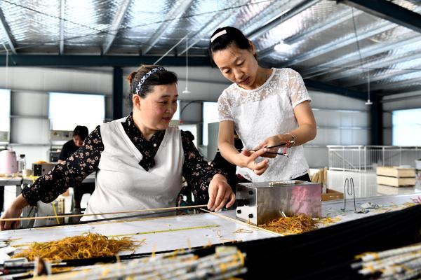 致富经爱笑的姑娘视频直播_致富经爱笑的姑娘视频直播_致富经爱笑的姑娘视频直播
