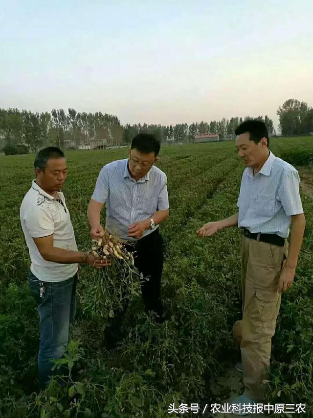 打造河南原生态中药材保护区——记发展中的栾酆农业科技公司