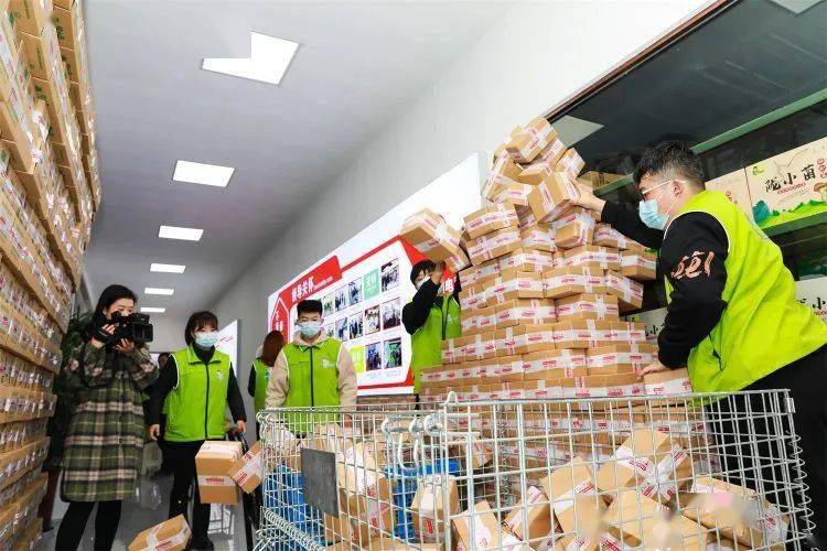 养贵妃鸡致富经_养殖贵妃鸡的致富经_如何饲养贵妃鸡