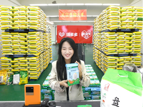 稻谷养殖致富经历_稻田养殖案例_致富养殖稻谷经历了什么