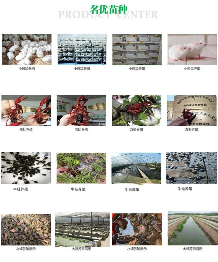 水蛭养殖致富是骗局吗吗_致富骗局养殖水蛭是真的吗_养殖水蛭是骗局吗