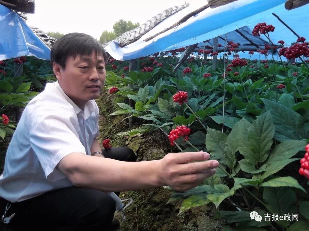 致富经林蛙养殖视频_林蛙养殖成就致富梦_林蛙发财梦
