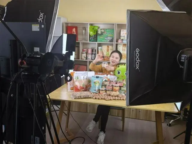 贵妃鸡致富经_致富经贵妃鸡养殖_每日农经致富经贵妃鸡