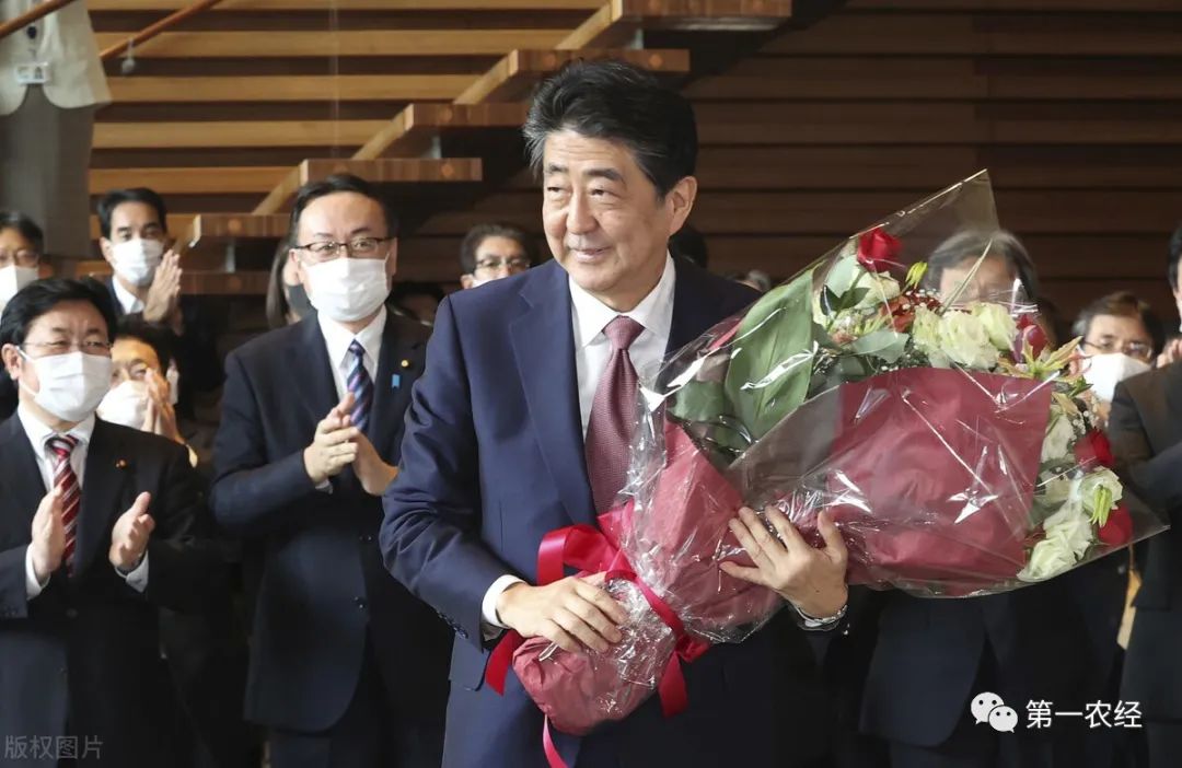 水产养殖大棚造价每亩_养殖水产大棚日本技术研究_日本水产大棚养殖技术