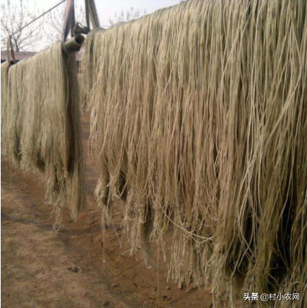 致富经农业种植_农业致富种植项目_农作物种植致富路线