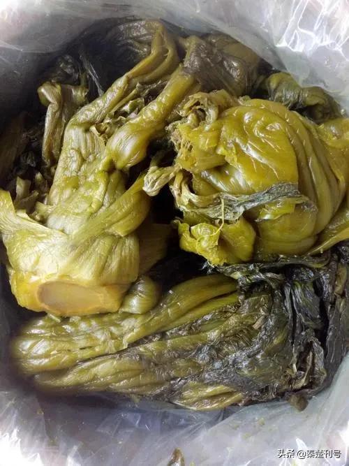 蜜猴桃苗种植技术_红心蜜猴桃树苗_苗蜜种植技术猴桃技术要点