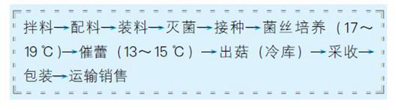【科学种植百问百答】栽培金针菇应该具备哪些条件？怎样种植？