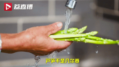致富蔬菜种植农业有哪些_农业种植蔬菜致富_农村种植蔬菜致富方案