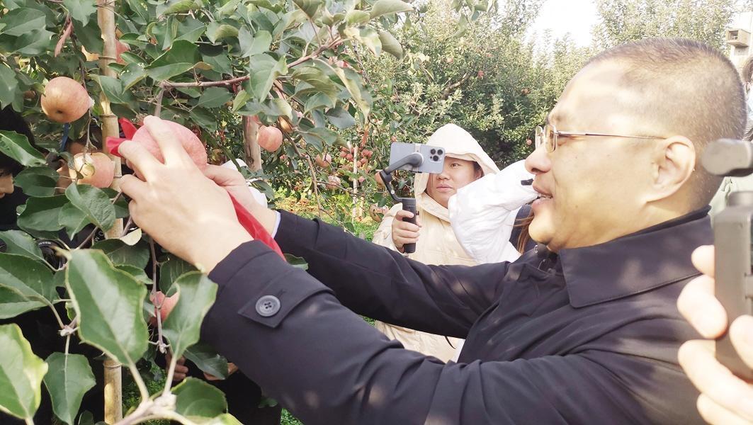 孝感农业致富种植各种水果网_地黄种植致富_蓬莱种植致富