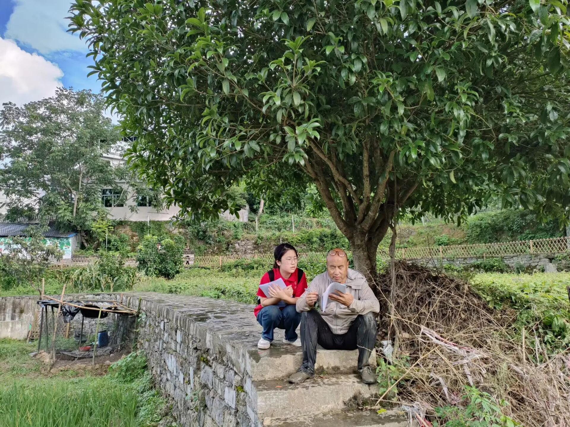 种植红柚致富_红柚子种植_红心柚种植成本和利润