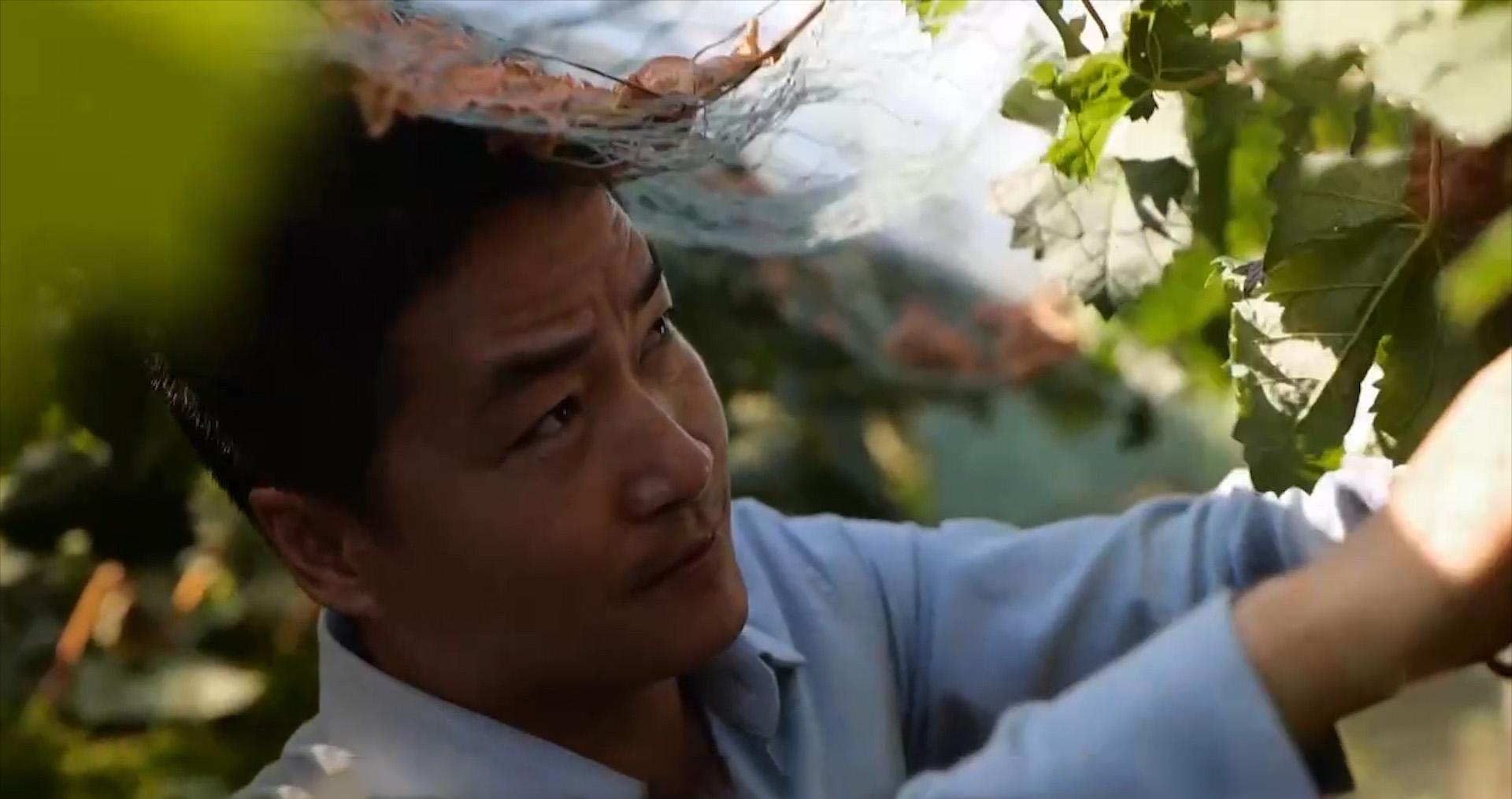 自家农业种植致富_致富种植农业的意义_农民致富种植项目