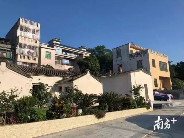 致富经石斑鱼_致富经  石斑鱼_石斑鱼养殖赚钱吗