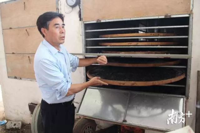 致富经  石斑鱼_致富经石斑鱼_石斑鱼养殖赚钱吗