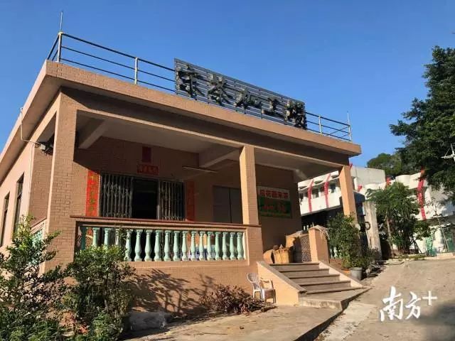 致富经石斑鱼_石斑鱼养殖赚钱吗_致富经  石斑鱼