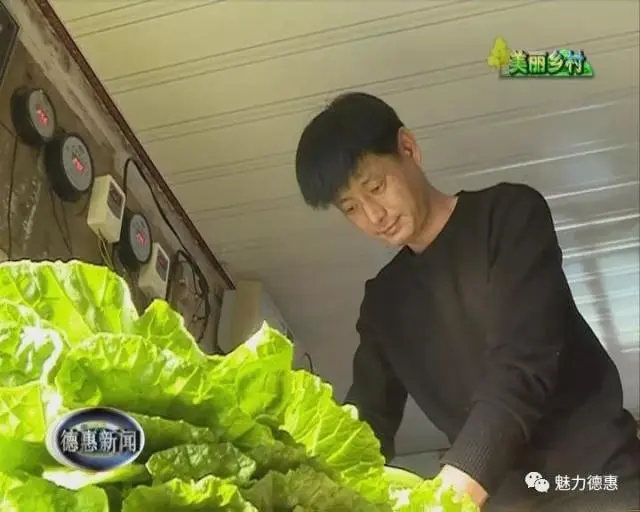 致富种植技术新闻_致富种植技术新闻稿_种植致富新技术