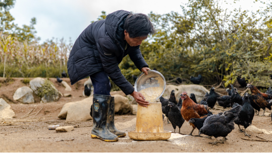 致富经獾_致富经獾_致富经獾