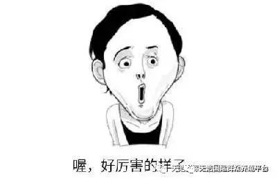 海南龟养殖场_海南最大养龟大户_致富经海南养龟