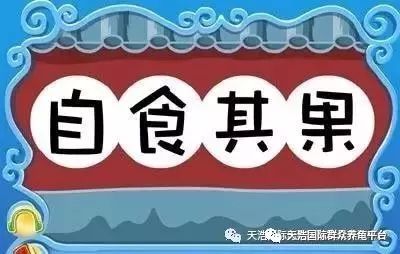 海南龟养殖场_致富经海南养龟_海南最大养龟大户