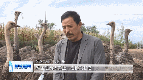 家庭养殖致富信息_致富养殖家庭信息怎么写_致富养殖业