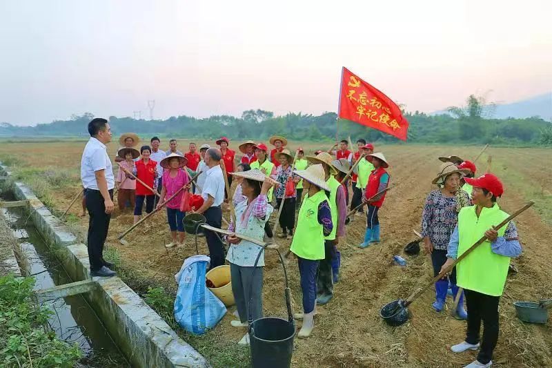 种植鸡骨草图片大全_因种植鸡骨草致富的人_种植鸡骨草经济效益