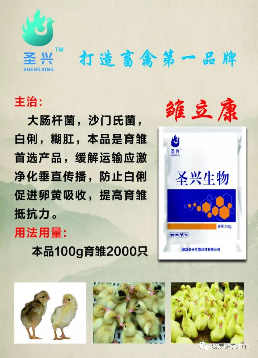鸭的养殖与管理技术_养殖鸭技术与管理_鸭养殖管理技术论文