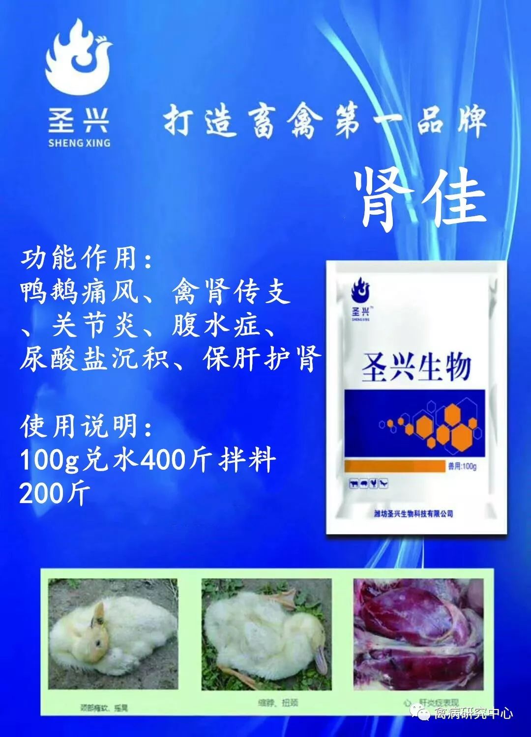 鸭养殖管理技术论文_养殖鸭技术与管理_鸭的养殖与管理技术