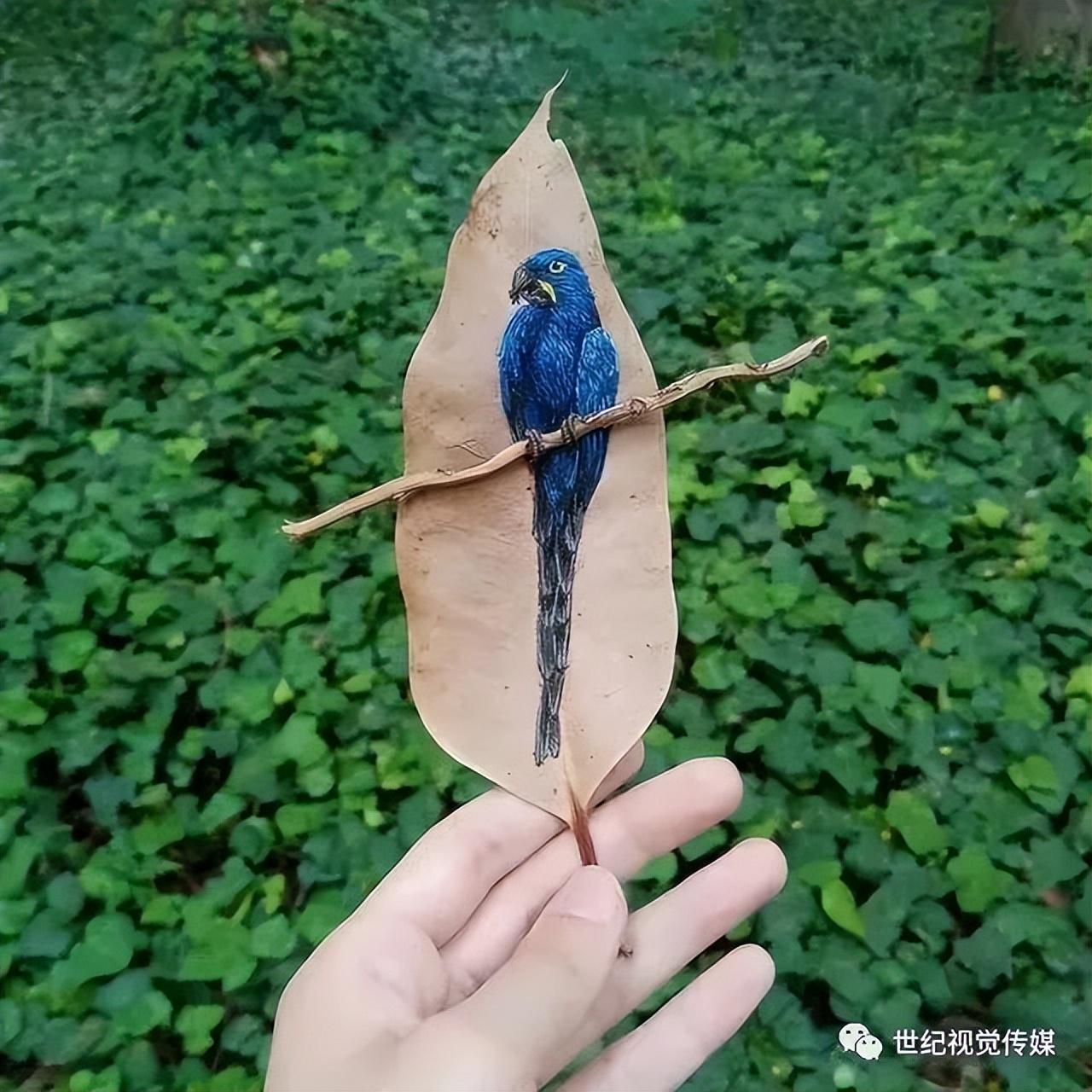 树叶赚钱_树叶利用致富_致富经神奇的树叶