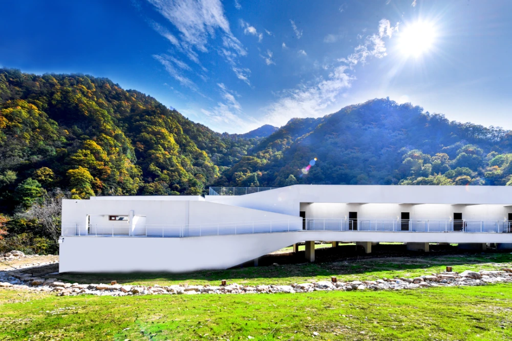 致富经古法养蜂_田间示范秀古法养蜂_古法养蜂方法