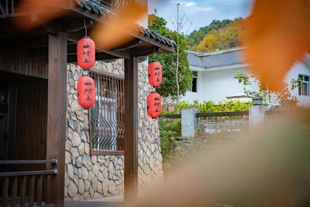 古法养蜂方法_田间示范秀古法养蜂_致富经古法养蜂