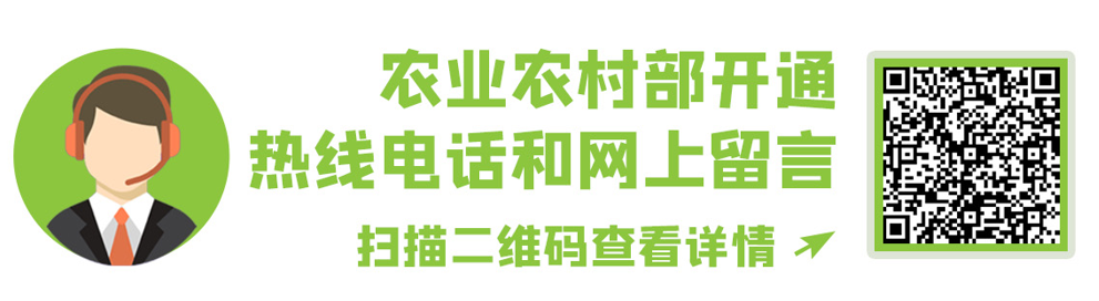 花生种植机器视频教程_花生种植致富机器_种植花生的机器
