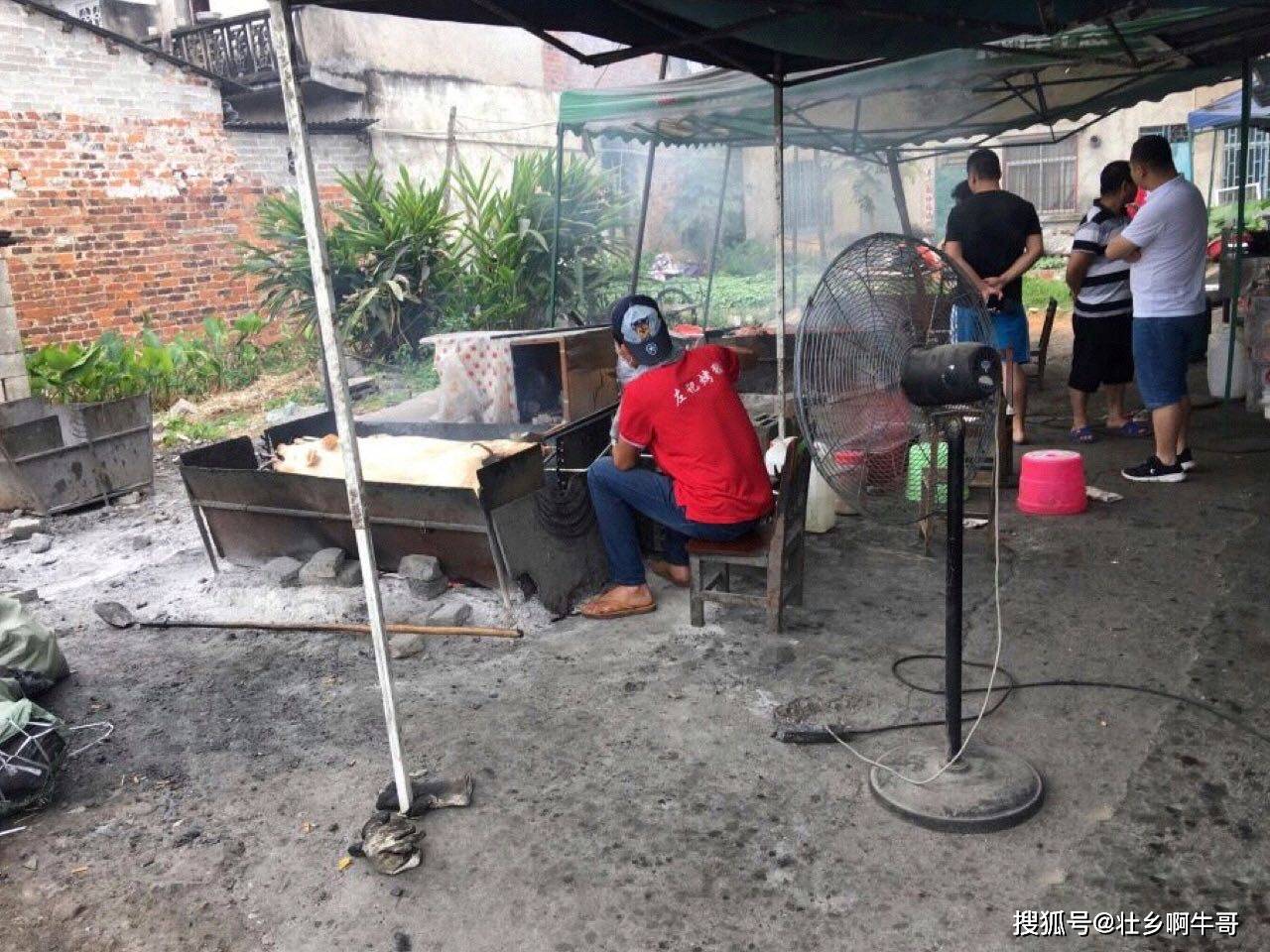 致富经猪_致富经 烤乳猪_致富养猪场是真的吗