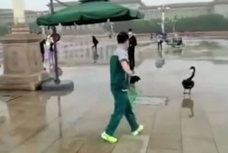 生财有道黑天鹅养殖视频_致富经黑天鹅养殖视频_致富经黑天鹅养殖