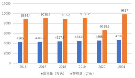 养殖致富项目牛_养殖牛羊致富吗_养殖创业牛羊