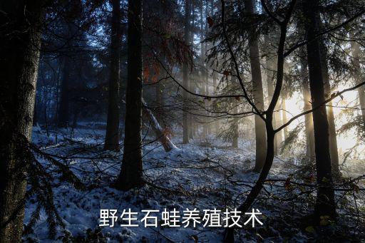 石蛙养殖，野生石蛙养殖技术