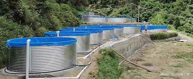 陆基圆池循环水养殖模式的优势